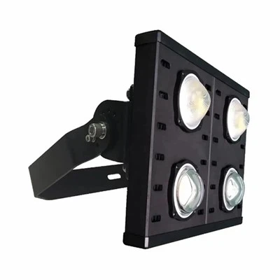 IP66 Led Taşkın Işık